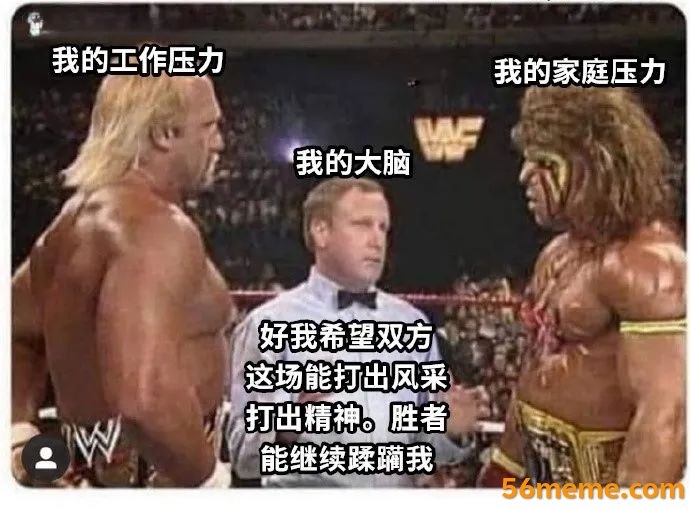 WWF职业摔跤赛事