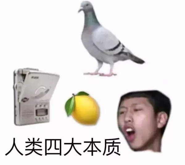 变形计