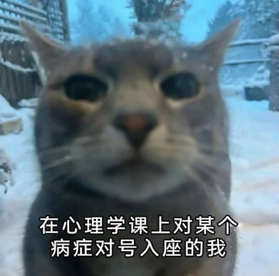 这是一张文字加注的静态梗图，画面主体是一只身处雪地中的灰色猫咪，猫咪眼神空洞、面部表情呆滞模糊，看起来状态低落又茫然。图下方配文“在心理学课上对某个病症对号入座的我”，用猫咪的呆滞茫然状态，精准比喻了很多人在学习心理学相关知识时，看到病症描述就下意识将自己代入，产生茫然、焦虑又有点不知所措的心情，生动调侃了心理学学习中的有趣日常经历。