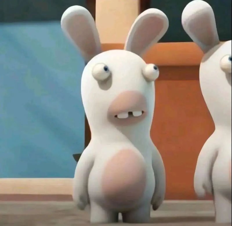 《疯狂的兔子》（Rabbids）系列