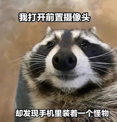 这是一张单图形式的文字加注表情包，画面主体是一只脸部正对镜头的浣熊，它眼睛泛红，表情委屈狼狈，仿佛在难过地看着镜头。图的上方配有文字“我打开前置摄像头”，下方配有文字“却发现手机里装着一个怪物”，用幽默自嘲的方式，调侃手机前置摄像头的成像效果和自己的预期有落差，将前置摄像头里的自己戏称为“怪物”，精准戳中很多人对前置摄像头拍照效果不满意的日常情绪，容易引发共鸣。