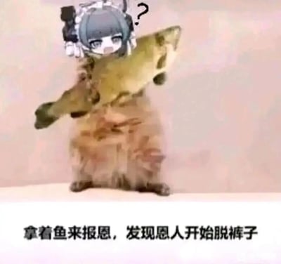 这是一张经过P图改编的搞笑表情包，创作者将游戏《碧蓝航线》中柴郡的头部替换在站立的橘猫身上，橘猫双手捧着一条大鱼，头部上方的问号凸显出疑惑茫然的状态。下方配文“拿着鱼来报恩，发现恩人开始脱裤子”，借用“动物报恩”的传统叙事，通过恩人脱裤子的反常行为制造强烈反差，让“报恩者”的处境变得尴尬又滑稽，整体风格诙谐幽默，精准戳中网络用户对反差梗的喜好。