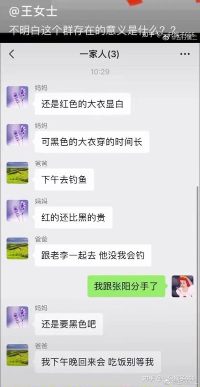 这是一张微信三人家庭群的聊天记录截图，群名为“一家人(3)”。群里妈妈一直在纠结红色和黑色大衣的选择，从显白、穿着时长到价格反复念叨；爸爸则一直在说下午和老李去钓鱼的事，还炫耀自己钓鱼技术更好。中间孩子发了“我跟张阳分手了”的重要消息，结果爸妈完全没注意到，继续聊自己的话题。截图上方还有一句吐槽“@王女士 不明白这个群存在的意义是什么？？”，真实又搞笑地展现了父母沉浸自己生活、和孩子不在一个沟通频道的家庭日常，充满无奈又扎心的幽默感。