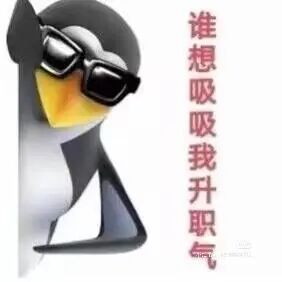 图片中是爆红网络的“高雅人士”3D企鹅形象，它戴着黑色墨镜，侧身倚靠，单手撑着，展现出一种酷拽的姿态。右侧配有竖排红色文字“谁想吸吸我升职气”，形成图文结合的效果。企鹅笨拙的体态与精英装扮形成强烈反差萌，精准击中年轻人“体面发疯”的情绪需求，成为职场人表达升职渴望与幽默吐槽的“电子嘴替”。