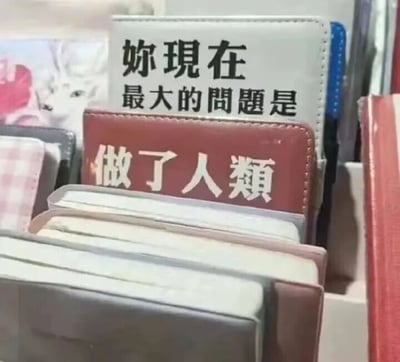 这是一张静态单图，画面中展示了摆放的多个笔记本，其中上方的白色笔记本印有文字“你现在最大的问题是”，下方的红色笔记本印有文字“做了人类”，两个本子的文字恰好拼接成一句带有自嘲与吐槽意味的话语。这句话用戏谑的方式，表达了当代人在面对生活、工作等各方面压力时，产生的无奈与自我调侃的情绪，通过偶然的文字组合形成了趣味梗点。