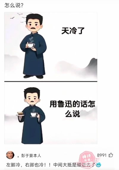 这是一张上下两格的连环卡通图，上方格子中，身着深蓝色长袍的卡通鲁迅形象手持冒着热气的茶杯，背景有远山和飞鸟，配文“天冷了”；下方格子中，同一人物左手托着茶盘（内有茶杯和点心），右手仍持茶杯，配文“用鲁迅的话怎么说”。图片底部附有网友“彭于晏本人”的神评：“左脚冷，右脚也冷！！中间大抵是缩进了”，巧妙模仿鲁迅文风，幽默调侃天冷的感受，获8991个点赞。