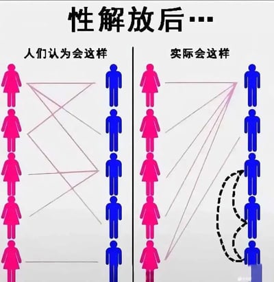 这是一张左右对比式的梗图，顶部标题为“性解放后…”，整体分为左右两个板块：左侧板块标注“人们认为会这样”，板块左侧纵向排列5个粉色女性公共标识图标，右侧纵向排列5个蓝色男性公共标识图标，两者之间的连线交叉交错，代表大众预想中性解放后男女配对会是多元且随机的状态；右侧板块标注“实际会这样”，同样排列5个女性图标和5个男性图标，但绝大多数女性的连线都指向最顶层的少数男性，右下角还有虚线箭头指向中上层男性，用来表现实际择偶时女性大多倾向选择顶层优质男性、底层男性缺乏择偶选择权的现象，通过反差调侃了性解放的预期效果和现实情况的差距。
