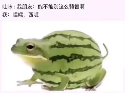 这是一张P图改编的搞笑图文梗图，上方呈现一段日常对话：朋友吐槽“能不能别这么弱智啊”，“我”则回复“嘿嘿，西呱”；下方是一张创意合成图，将青蛙的身体替换成带有西瓜纹路的形态。
这里运用了谐音梗：“西呱”是“西瓜”的谐音，既对应图中的西瓜青蛙形象，又用这种无厘头的回应消解朋友的吐槽，营造出沙雕、搞笑的氛围，适合朋友间的趣味互动。