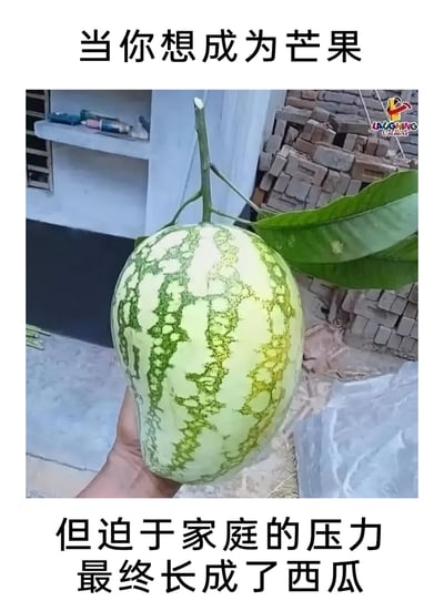 暂无描述