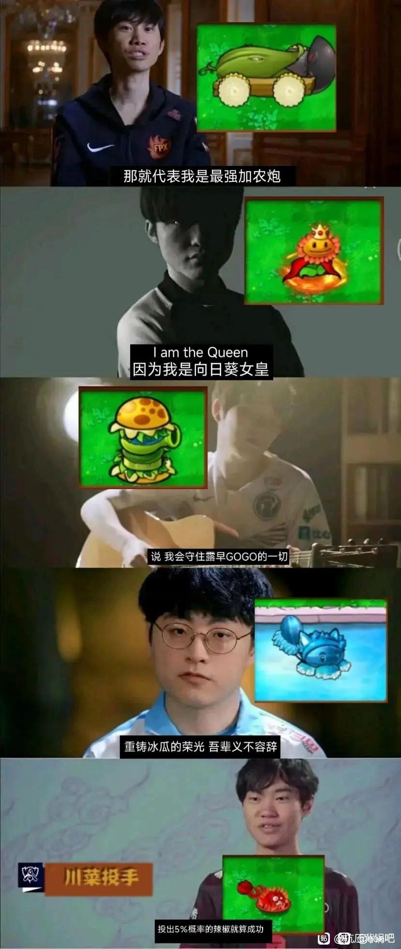 西瓜投手