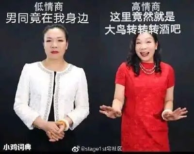 这是一张左右对比的静态梗图，图中为同一位真人女性的两种不同造型与状态，以此对比低情商与高情商的表述差异。左侧代表低情商表述，人物身着白色带钻外套，表情严肃，双手交握于身前，上方配文“低情商 男同竟在我身边”，直接直白地指出身边有同性恋者；右侧代表高情商表述，人物身着红色连衣裙，佩戴珍珠项链，表情兴奋，双手摊开，上方配文“高情商 这里竟然就是大鸟转转转酒吧”，其中“大鸟转转转酒吧”是国内知名的同志酒吧，用这个指代来委婉表达相同的意思，避免了直接表述的尴尬，用幽默的方式展现了高情商说话的委婉艺术。