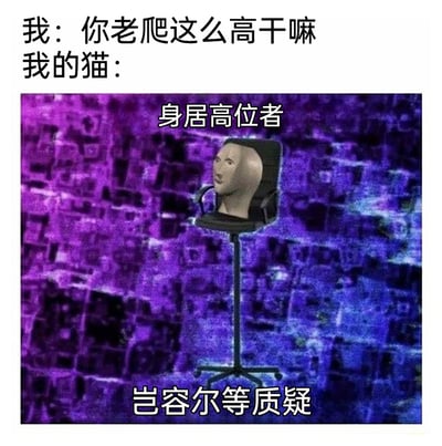 这是一张结合猫咪习性与网络迷因的搞笑静态梗图。图中上方文字是铲屎官对猫咪总喜欢爬到高处的疑问：“你老爬这么高干嘛”，下方则将猫咪拟人化为坐在高办公椅上的“高位者”，搭配紫色俯视城市的背景，配文“身居高位者，岂容尔等质疑”，用荒诞的视觉效果和傲娇的语气，幽默地诠释了猫咪爱待在高处、仿佛拥有“王者姿态”的可爱习性，精准戳中养猫人群的共鸣，充满趣味性。