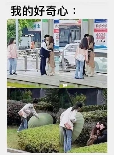 这是一张四格拼接的趣味梗图，顶部配有文字“我的好奇心：”，生动展现了人好奇心太重八卦他人的状态：第一格中，路边一对情侣正亲密依偎，路过的粉衣女生忍不住侧目看向二人；第二格女生直接停下脚步，站在旁边明目张胆地偷看这对情侣；第三格女生为了更清楚地偷看，躲到了绿化带旁的大型绿植后方，伸手准备扒开绿植；第四格女生扒开绿植后才发现，这对情侣正坐在绿化带后方的草地上，当场和二人打了照面，场面尴尬又好笑，用夸张的场景调侃了人们旺盛的八卦心理。