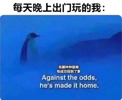 图片上方文字为“每天晚上出门玩的我：”，下方是一只企鹅在蓝色冰雪环境中的画面，画面中叠加文字“克服种种困难 他成功回到了家”及英文翻译“Against the odds, he's made it home.”。通过将日常出门玩后回家的轻松场景与企鹅艰难回家的戏剧性画面对比，形成幽默自嘲效果，暗示晚上出门回家如同克服困难般不易。
