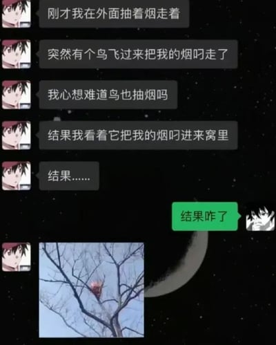 一张连环图文混排梗图，左侧红发动漫人物分五段讲述经历：在外面抽烟时被鸟叼走香烟，疑惑鸟是否抽烟，随后看着鸟将烟叼进窝里并留下悬念'结果……'。右侧黑发动漫人物绿色气泡追问'结果咋了'，底部配图为一棵光秃秃的树上有一个正在燃烧的鸟巢，揭示香烟点燃了鸟窝的搞笑结局。