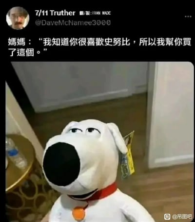这是一张图文结合的搞笑社交媒体梗图，图中上方配有妈妈的台词“我知道你很喜欢史努比，所以我帮你买了这个。”，但下方实际展示的是美国动画《恶搞之家》中的经典角色——白色狗狗布莱恩的毛绒玩偶，妈妈将布莱恩错认成了《花生漫画》里的史努比，形成了错位的喜剧效果；玩偶翻白眼、一脸嫌弃的表情，进一步放大了这种认错知名卡通形象的幽默感，让熟悉两个角色的人感受到强烈的反差趣味。