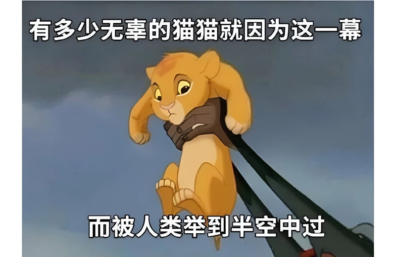 狮子王