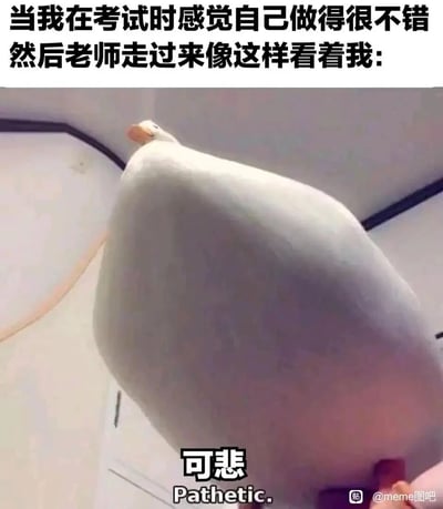 这是一张贴合校园考试场景的搞笑梗图，画面主体是一只身体庞大、仅露出小半边脸的大鹅，它的眼神带着明显的鄙夷与嫌弃。图中顶部配文“当我在考试时感觉自己做得很不错然后老师走过来像这样看着我:”，底部配文“可悲 Pathetic.”，用拟人化的方式，将老师看到学生试卷时的嫌弃神态具象成大鹅的样子，精准戳中了学生在考试时自我感觉良好，却被老师的眼神打击的尴尬忐忑心理，容易引发学生群体的共鸣。