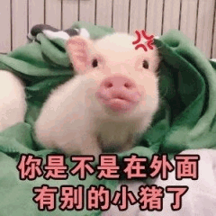 委屈小猪质问：你是不是在外面有别的小猪了
