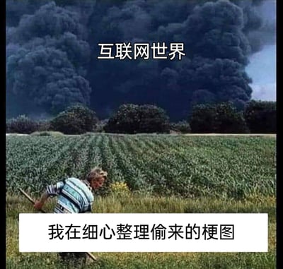 这是一张经过文字加注改编的旧图再创作梗图，画面上方是浓重的黑烟，配文“互联网世界”，用黑烟象征互联网环境的喧嚣杂乱、充满各类信息纷扰与舆论“硝烟”；画面下方是一位手持工具在田间俯身劳作的人，底部配文“我在细心整理偷来的梗图”，通过强烈的场景反差，自嘲式地表现出在混乱的互联网环境中，自己专注收集、整理网络上流传的梗图的状态，精准戳中网友在海量网络内容里筛选有趣内容的日常，带有诙谐调侃的意味。