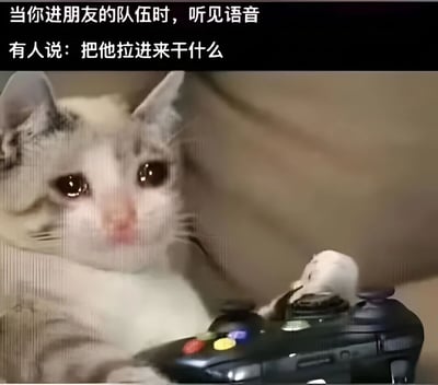 这张梗图展示了一只表情委屈的猫正拿着游戏手柄，上方配有文字："当你进朋友的队伍时，听见语音有人说：把他拉进来干什么"。图片通过猫咪无辜又受伤的表情，幽默地表现了玩家在游戏中被朋友队伍嫌弃的尴尬瞬间，引发有类似经历玩家的共鸣。