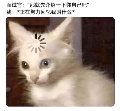 这是一张搞笑梗图，上方文字显示面试官说："那就先介绍一下你自己吧"，下方文字则是"我：*正在努力回忆我叫什么*"。图片主体是一只额头被画上黑色太阳爆炸图案的白猫，猫的眼神显得困惑迷茫，完美呼应了文字内容所表达的面试时突然忘记自己名字的尴尬与紧张情绪。