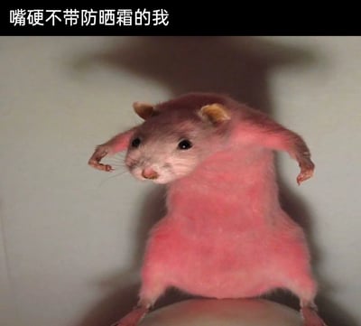 这是一张趣味网络梗图，顶部配有文字“嘴硬不带防晒霜的我”。图中是一只经过图像修改的啮齿类动物，它的躯干和四肢被处理成被晒红的粉红色，头部则保持原本的毛色，动物张开四肢呈站立姿态，表情看起来懊恼又无奈。这张图用拟人化的方式，生动调侃了那些嘴上逞强不愿意涂防晒霜，结果被太阳晒红晒伤的人的状态，十分贴合日常生活场景，容易引发共鸣，常被用于社交平台上自嘲或者调侃他人。