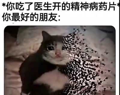 图片上方有文字'*你吃了医生开的精神病药片* 你最好的朋友：'，下方是一张猫的照片。猫躺在铺有花纹毯子的床上，眼神略显呆滞，表情呆萌，整体通过猫的可爱又略带困惑的样子，幽默地调侃了吃了药后朋友可能有的反应，营造出轻松搞笑的氛围。