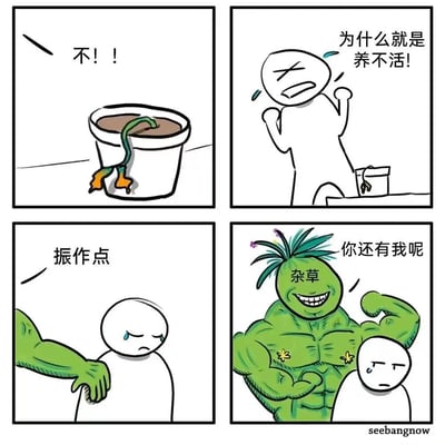 四格漫画描绘了一个植物养护失败的搞笑场景：第一格中一盆植物枯萎，配文"不!!"；第二格人物抓狂大喊"为什么就是养不活!"；第三格人物垂头丧气，一只绿色手臂安慰道"振作点"；第四格出现肌肉发达的绿色杂草角色，笑着说"你还有我呢"。通过精心养护的植物枯萎与无人照料的杂草茁壮成长形成鲜明反差，制造幽默效果。