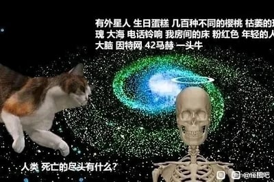 这是一张P图改编的静态图文混排图，背景为带有明亮发光核心的星系宇宙图案，画面左侧是一只抬起前爪、神态茫然的三色猫，右侧是一个咧嘴的骷髅形象。图中上方排布着一段毫无逻辑关联的杂乱词汇：“有外星人 生日蛋糕 几百种不同的樱桃 枯萎的玫瑰 大海 电话铃响 我房间的床 粉红色 年轻的大脑 因特网 42马赫 一头牛”，画面底部配有问题“人类 死亡的尽头有什么？”，右下角带有“@怪图吧”的水印。整张图通过荒诞的元素组合，以脑洞化的方式引发人们对死亡尽头的思考，那些杂乱的词汇或许象征着死亡后意识陷入的混沌、碎片化的无逻辑状态，是一种对死亡概念的解构式表达。对于图中的问题“人类死亡的尽头有什么”，从科学层面而言，死亡意味着生命体征的完全终止，人体会逐渐被自然分解；从哲学与宗教的视角，则存在灵魂转世、进入另一个精神世界等多种不同的解读，而这张图用怪诞的呈现方式暗示，死亡的尽头可能是充满各种随机意象的混沌空间。