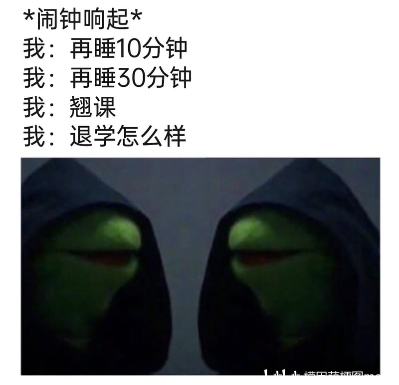 科米蛙