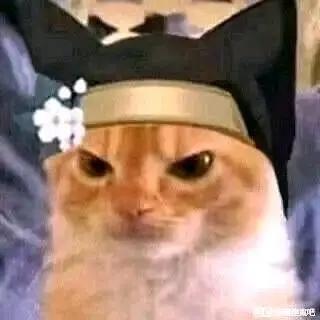 这是一张经过P图改编的搞笑表情包，将一只眼神锐利、表情严肃的橘猫，与《火影忍者》中木叶忍者的护额和忍者帽元素合成在一起，让普通的橘猫化身成不苟言笑的木叶忍者，强烈的反差感营造出搞笑又正经的氛围，适合用来表达认真、严肃或者假装正经的情绪。
