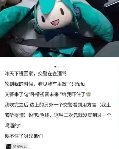 这是一张上下结构的图文混排梗图，上图展示了一只被汽车安全带固定在座椅上的初音未来fufu玩偶，玩偶面带开心的笑容；下图是一段网友的真实经历叙述：作者下班回家遇到查酒驾，交警看到车里的fufu后喊出"卧槽初音未来"，作者完成酒精检测后，另一位交警用方言吐槽"吹毛线，这种二次元就没查到过一个喝酒的"。
笑点在于交警对二次元群体的刻板印象，形成了有趣的反差感，让人忍俊不禁。