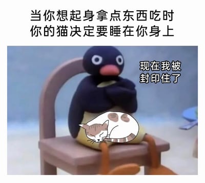 这是一张充满共鸣感的搞笑P图，改编自动画《企鹅家族（Pingu）》的截图。画面中企鹅Pingu坐在椅子上，双腿被一只蜷在上面熟睡的卡通猫咪压住，顶部配文“当你想起身拿点东西吃时你的猫决定要睡在你身上”，角色旁的配文“现在我被封印住了”精准表达出此刻的无奈。这张图生动还原了养猫人群的真实日常——想要起身行动，却因不忍心打扰熟睡的猫咪而被迫“封印”在原地，温馨又搞笑的场景能引发众多养猫用户的强烈共鸣。