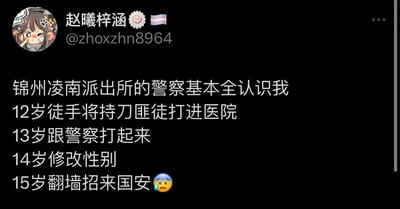 这是一张海外社交平台的用户动态截图，发布者昵称赵曦梓涵，账号为@zhoxzhn8964，头像为一个俏皮的卡通女孩形象，账号名称右侧配有跨性别旗帜标识和一个特殊符号。动态内容为发布者自述的12至15岁期间的一系列特殊经历：12岁时徒手将持刀匪徒打进医院，因此锦州凌南派出所的警察基本都认识他；13岁时与警察发生肢体冲突；14岁时完成了性别修改；15岁时因翻墙行为被国安部门关注，最后搭配了一个带有汗珠的无奈表情符号，整体内容风格偏向于个人出格经历的分享，充满话题性。