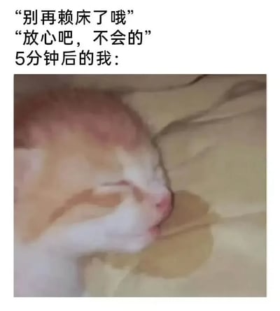 这是一张搞笑表情包，采用顶部配文加底部配图的形式。上方配文首先是旁人的提醒“别再赖床了哦”，接着是当事人的回应“放心吧，不会的”，随后标注“5分钟后的我：”，下方配图是一只橘白相间的小猫闭着眼睛，趴在暖黄色的被窝里睡得十分沉，画面有轻微模糊感，生动还原了很多人嘴上承诺不赖床，没过多久就继续睡的真实状态，反差感十足，很容易引发共鸣。
