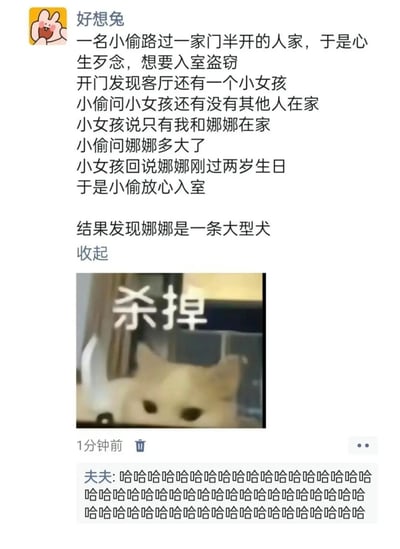 这是一张社交平台的动态截图，发布者为“好想兔”。动态内容是一个充满反差感的搞笑段子：一名小偷欲入室盗窃，发现屋内只有小女孩，询问后得知家中还有刚过两岁生日的“娜娜”，便放松警惕入室，结果发现“娜娜”是一条大型犬，小偷的预期与现实形成强烈反差。段子下方搭配了一张猫咪表情包，猫咪上方配有“杀掉”的文字，生动表现出小偷发现真相后的崩溃、愤怒的情绪。评论区用户“夫夫”用一连串的“哈哈哈哈”表达对这个段子趣味性的认可，传递出段子的搞笑效果。