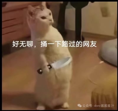 图片描绘一只站立的猫咪手握刀具，配以幽默调侃文字，表现出无聊却又搞怪的网络情绪。该梗图常常被用于社交平台表情包，用以表达调皮、无聊、想整蛊网友的心情。