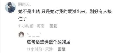 这是一张社交媒体评论截图，展示了两条用户互动内容。顶部评论来自用户“阴雨天.”（河南，11小时前发布），内容为：“她不是出轨 只是她对我的爱溢出来，刚好有人接住了”，以自我安慰的幽默口吻将伴侣的出轨行为美化成“爱溢出”。下方有另一用户（天津，11小时前）的回复，配动漫头像，评论“这句话整碎整个舔狗届”，调侃前者言论堪称“舔狗”行为的极致代表。整体场景为典型的社交平台评论区，包含用户名、地区、发布时间戳及用户头像元素。