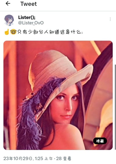这是一张Twitter平台的推文截图，用户Lister();（@Lister_OVO）发布了一条带有神秘色彩的内容，配文“只有少部分人知道这是什么：”并附上一张女性照片。照片中的女性戴着一顶米色宽檐帽，帽子边缘装饰有紫色羽毛，背景色调偏暖，她侧身转头看向镜头，表情平静。推文发布于2023年10月29日1:25，显示有28次查看，整体营造出一种“圈内人才懂”的猜谜氛围。