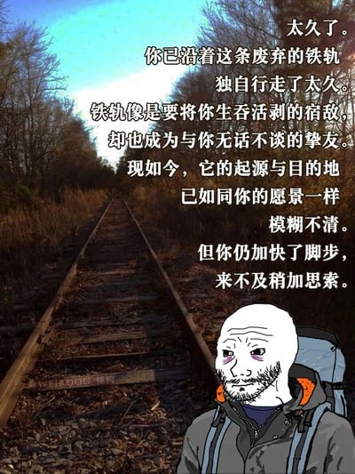 这是一张经过P图改编的图文混排静态meme图，背景是延伸至远方的废弃铁轨，铁轨两侧是枯黄的杂草，整体场景荒凉孤寂，传递出一种迷茫无措的氛围。画面右下角是经典Wojak（Feels Guy）风格的卡通人物，他背着登山背包，面容憔悴，眼下发黑，带着杂乱的胡茬，眼神里满是疲惫与迷茫。图中配有一段旁白式的文字，讲述这个独行者沿着废弃铁轨行走了漫长的时间，铁轨既是折磨他的宿敌，也是陪伴他的挚友，他的前行目标与人生愿景已经模糊不清，但他仍在不加思索地加快脚步，没有时间停下来思考。这张图精准地传递出当代人在生活或工作中，陷入迷茫焦虑却又被迫向前、身不由己的情绪，容易引发人们的共鸣。