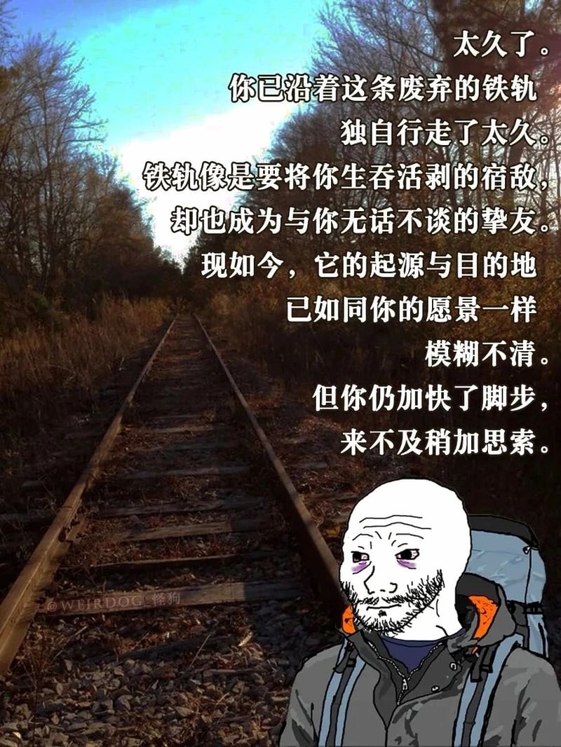 meme表情包