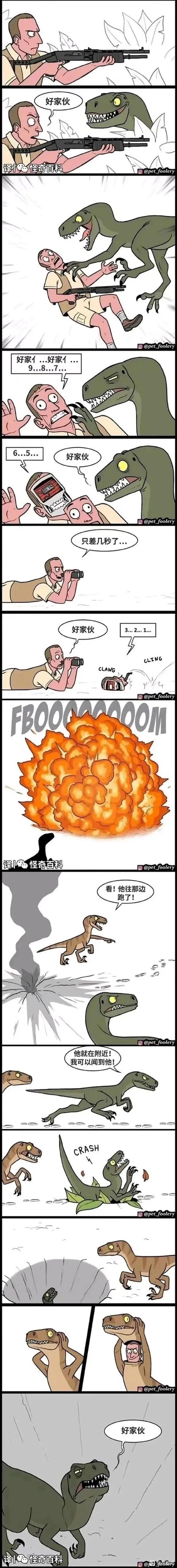 这是一则竖版多格卡通爆笑漫画，故事背景设定在类似侏罗纪的野外场景：一名手持霰弹枪的男子遭遇绿迅猛龙突袭，被扑倒后他急中生智，假装自己是定时炸弹开始倒数计时，甚至将自己的头部变形为炸弹外观，随后远处发生爆炸，男子趁机伪装成小棕迅猛龙的样子混入恐龙群，还故意误导绿迅猛龙追踪错误方向，绿迅猛龙在追踪时被绊倒，最后当它反应过来时，看到伪装的男子，一脸懵地说出了男子之前的口头禅“好家伙”，整个故事充满荒诞的脑洞和反转，用无厘头的方式制造出强烈的喜剧效果。