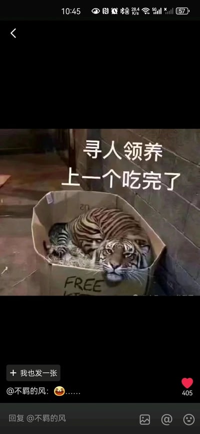 这是一张充满反差感的搞笑P图梗图，画面核心是一只成年老虎蜷缩在通常用来放置待领养小猫的纸箱里，纸箱上印有英文“FREE KIT”（疑似“FREE KITTEN”的缩写，模仿领养小猫的标识）。图片上方配有白色恶搞文字“寻人领养 上一个吃完了”，通过将凶猛的老虎包装成待领养的温顺小动物，再用“上一个吃完了”的文案暗示上一位领养者被老虎吃掉，用荒诞夸张的反差制造强烈的幽默效果。图片底部是社交媒体的评论界面，用户“不羁的风”发布了笑哭表情加省略号的评论，该评论获得了405个点赞。