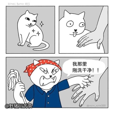 这是一幅三格连环卡通漫画，用拟人化的方式展现猫咪的小情绪：第一格中，一只白色猫咪蹲坐着，身上带有闪亮特效，表情得意，看起来刚被清洁得十分干净；第二格中，一只手摸向猫咪的头部，猫咪露出惊讶的表情；第三格中，猫咪变身成戴着红点头巾、穿着蓝色工作服、手持拖把的保洁形象，表情愤怒凶狠，伸手拍开那只手，同时配文“我那里刚洗干净！！”，将猫咪对自己刚打理好的毛发被触碰的不满，类比成保洁刚打扫完卫生就被弄脏的愤怒，用夸张的拟人手法制造出幽默的效果。