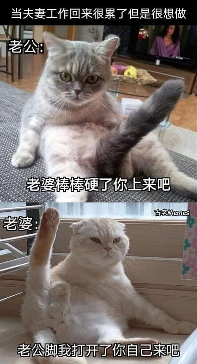 暂无描述