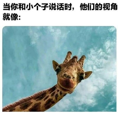 图片上方配有文字“当你和小个子说话时，他们的视角就像:”，下方是一张长颈鹿低头看向镜头的照片。通过低角度拍摄长颈鹿的视角，幽默地模拟了小个子人群抬头与高个子说话时的仰视视角，用长颈鹿的高大形象夸张化身高差异带来的视觉感受，整体风格轻松搞笑。