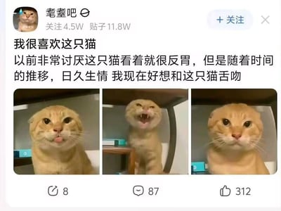 本图是一条社交平台关于猫的趣味配图和配文。作者自述一开始非常讨厌这只猫，后来却慢慢喜欢上它，甚至玩笑说现在很想和这只猫舌吻。图片为猫三连拍，表情夸张搞怪，整体氛围轻松幽默，带有网络沙雕和反差萌色彩，有夸张玩笑成分。