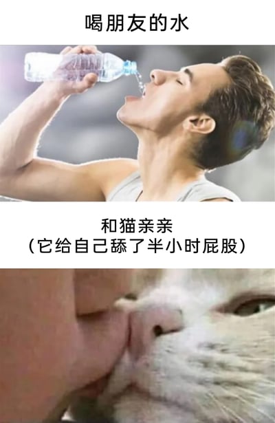 这是一张由上下两部分拼接而成的搞笑对比梗图，上半部分展示了一位穿着背心的男性仰头举着水瓶喝水的画面，配文“喝朋友的水”；下半部分是一只猫咪和人亲亲的画面，配文补充“和猫亲亲（它给自己舔了半小时屁股）”。这张图通过强烈的反差感，调侃了人们在生活中的双标行为：明明会对喝朋友的水有潜在的卫生顾虑，却对刚舔完自己屁股的猫咪毫无芥蒂地亲亲，用这种生活化的趣味场景引发共鸣，制造出荒诞搞笑的效果。