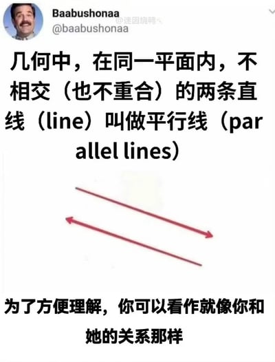 这是一张以社交媒体截图形式呈现的网络迷因，内容先严谨给出几何学科中平行线的定义：“在同一平面内，不相交（也不重合）的两条直线叫做平行线”，并搭配了两条平行线的示意图辅助理解，随后用一句“为了方便理解，你可以看作就像你和她的关系那样”进行玩梗，将平行线永远不会相交的几何特性，巧妙比喻成单恋者与心仪对象之间永远没有交集、无法靠近的情感状态，用严肃的数学知识调侃现实中无奈的情感困境，风格幽默又带着一丝扎心的共鸣感。